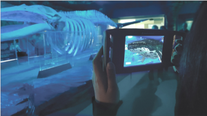 Visitor holding a Museum ExplorAR device showing an augmented whale with a whale skeleton in the background